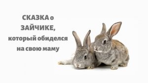 СКАЗКА о ЗАЙЧИКЕ, который обиделся на свою маму.ТЕРАПЕВТИЧЕСКАЯ СКАЗКА.