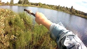 Рыбалка на вершу.Улов рыбы