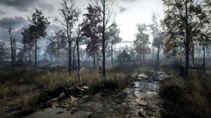 Stalker Online/Stay Out/Steam: Черный Лес в слизи друга