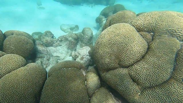 ВЕНЕСУЭЛА #10 Лос Рокес (Los Roques) – Тур по островам Dos Mosquises, Cayo de Agua и Crasky