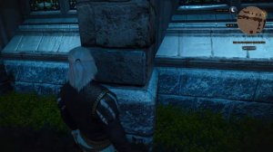 The Witcher 3 🐺 Hidden Loot in Vizima #thewitcher3  #thewitcher