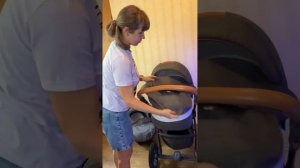 Коляска Адамекс Неонекс