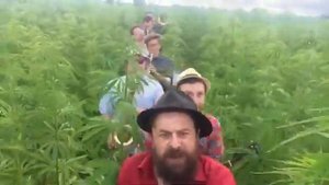 Нормальные герои всегда идут в обход