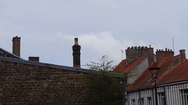 #французскиесумки #французскиедома #дымоходывоФранции 68. ДЫМОХОДЫ. ДЛЯ ЧЕГО НУЖНЫ ГРАБЛИ МУЖЧИНЕ ? смотреть онлайн