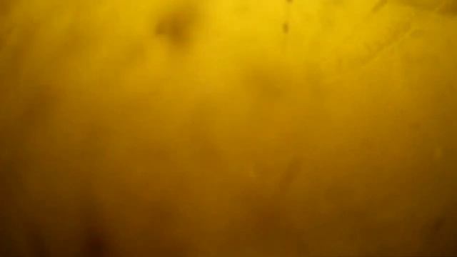 РЕАКЦИЯ РЫБЫ НА КОРИЦУ! РЫБА ДУРЕЕТ ОТ КОРИЦЫ! Подводная съемка на рыбалке 2022