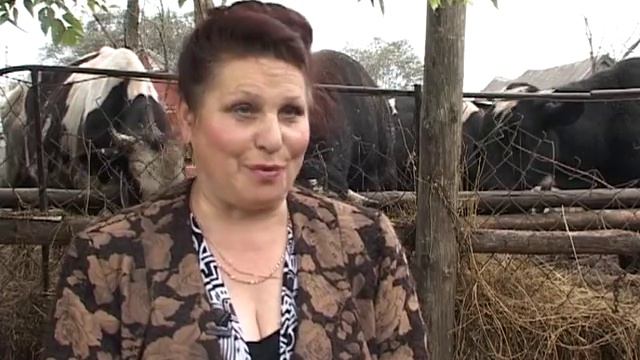 ЛПХ смотреть онлайн