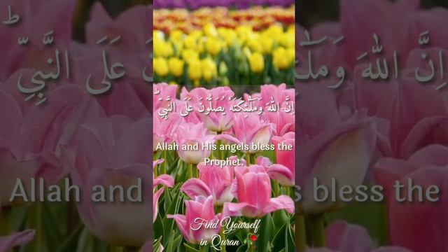 Surah Al-Ahzab | Ayat 56 | Recitation by Hafiz Ali | Find Yourself in Quran 🥀