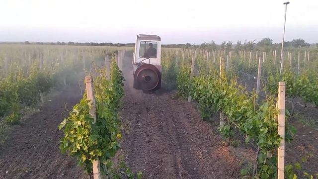 Лучший трактор для виноградника, Т-70, опрыскивание, ОНВ-200