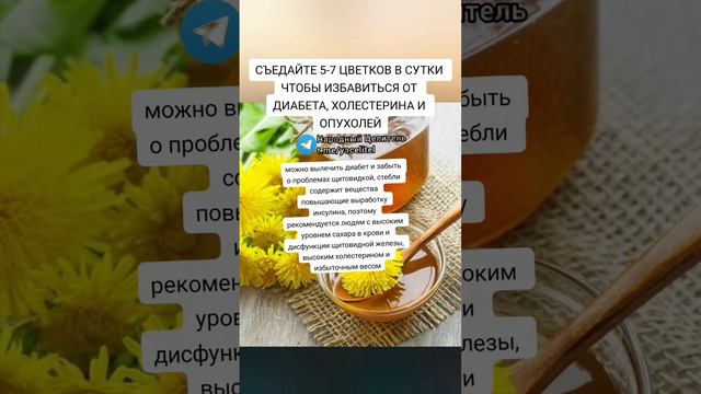 съедайте 5-7 ЦВЕТКОВ В СУТКИ, ЧТОБЫ ИЗБАВИТЬСЯ ОТ диабета, холестерина и опухолей #медицина #зож смотреть онлайн