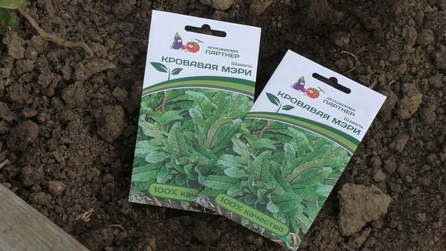 Как посадить щавель смотреть онлайн