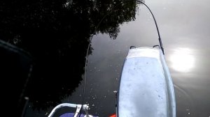 Как поймать щуку на живца за 3 минуты !!!