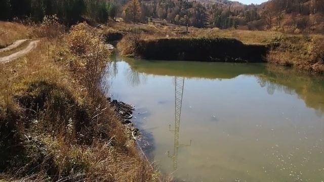 Золото старого полигона. ⛺ OLD GOLD MINES. Искать золото за грамм.Search For Gold. Prospect For Gol