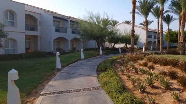 Обзор отеля Reef Oasis Blue Bay Стоит ли ехать в этот отель?