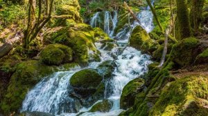 you and me together again radio