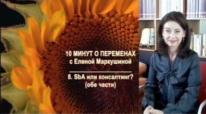 8 - SbA или консалтинг. 10 минут о переменах