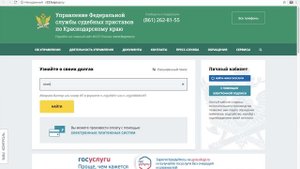 Как проверить запрет на выезд за границу? Советы от бывшего начальника миграционной службы района!