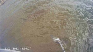 Ловля щуки. Смотреть до конца.