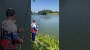 Ловим карпа на платном водоеме