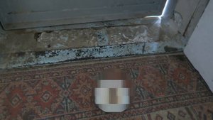 Людка Прибаутка обкакалась от радости! Возвращение с коричневым сюрпризом...