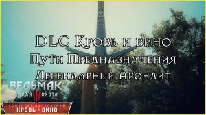 Ведьмак 3 Кровь и Вино. Пути предназначения. Бой с отшельником