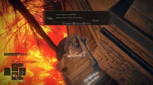 Храм Игли в Вулкановом поместье.#90 ELDEN RING. Прохождение.