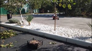 Сбор Грецкого Ореха на Кубани