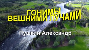 Стихотворение Пушкин А.С. "Гонимы вешними лучами"