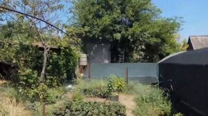 Хризантема все!!! Строим теплицу!!! Что будем выращивать!!!