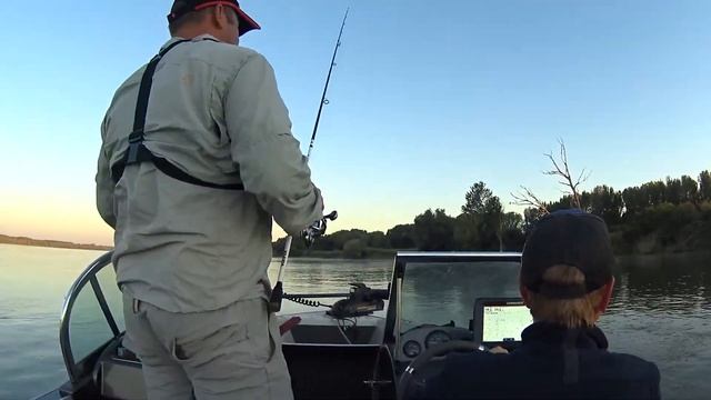 На Дунае с Дмитрием Корзенковым. Ловим жереха и судачка! смотреть онлайн