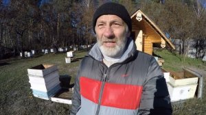 КАКОЙ УЛЕЙ ВСЕ ТАКИ ЛУЧШЕ?