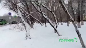 Гончаръ что же всё-таки произошло 12.02.22