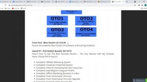 Blue Hustle Review⚠️WARNING⚠️ DON'T GET BLUE HUSTLE WITHOUT MY ?  CUSTOM ? BONUSES!!