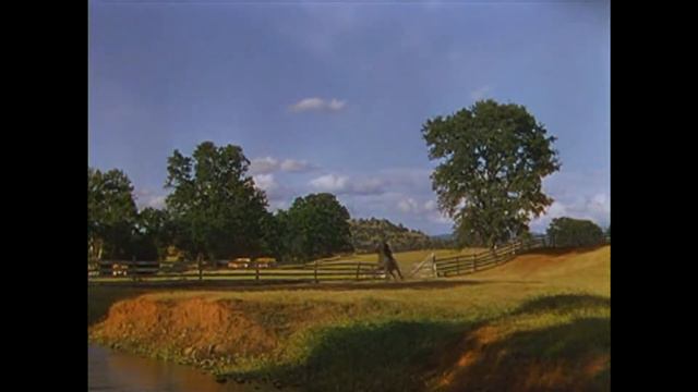 gone with the wind  Унесенные ветром.