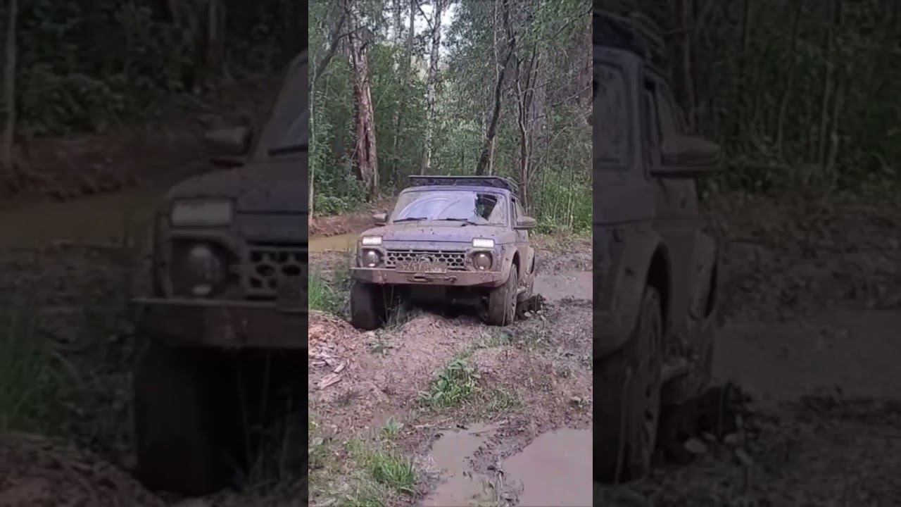 Нива сток и ВЛИ-5 на бездорожье. #нивабудни смотреть онлайн