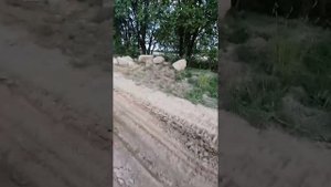 Карьер. Посадников остров.