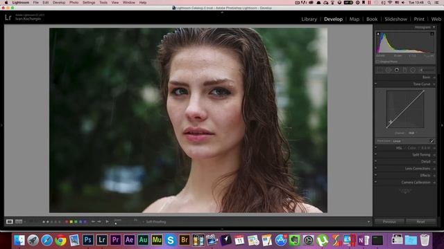 Отрывок из курса "Лайтрум Без Воды". 21/48 Кривые часть 2 смотреть онлайн