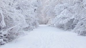 Манур - Заколдовала как весна