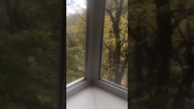 Квартира в Ростове цена 4,35 млн.р. Купите двухкомнатную квартиру в Ростове на пер.Дальнем. смотреть онлайн