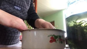 Подготовка растений к высадке в аквариум