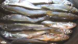 Самый легкий способ , как сделать ШПРОТЫ из УКЛЕЙКИ. SPASSK FISHING.