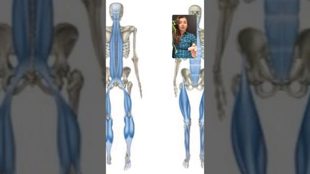 Про позвоночник. Простыми словами о важном. смотреть онлайн