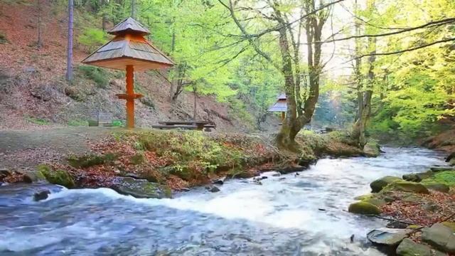 Muzică de Relaxare, Muzică pentru Meditatie, Muzică pentru Somn, Muzică Zen, Energie Pozitivă #4 смотреть онлайн