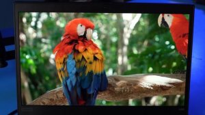 Лучший б\у ноутбук. Почему ThinkPad?