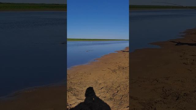 Рыбалка, большой карась 3! смотреть онлайн