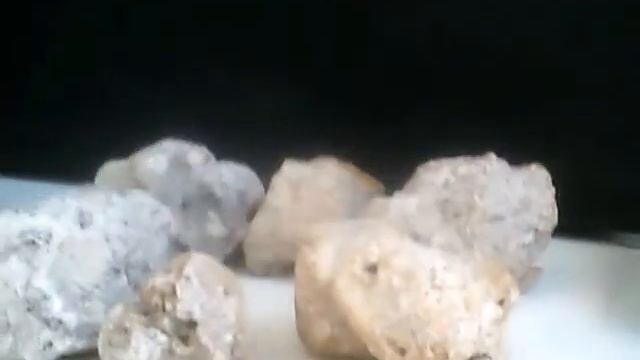 my pet rock family part 2 смотреть онлайн