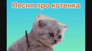 Песня про котенка (Песня-переделка)