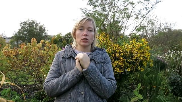 ТОНКОСТИ ПОСАДКИ ЧЕСНОКА / Сажаем озимый лук и чеснок!