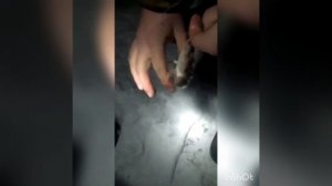 РЫБАЛКА НА НАЛИМА ЗИМОЙ,ловля налима