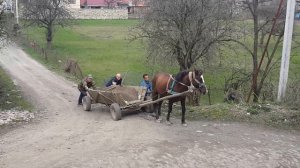 Великий Березний.циган мучить коня