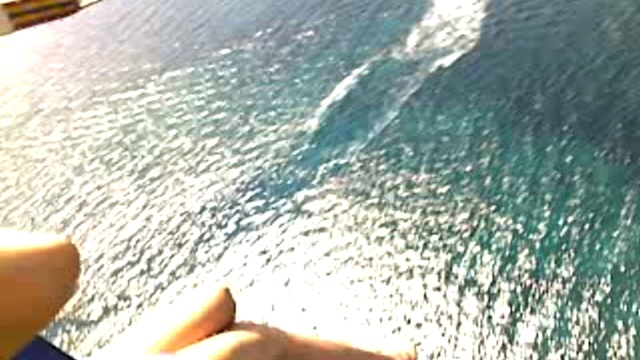 Небольшая история из жизни отдыхающих смотреть онлайн